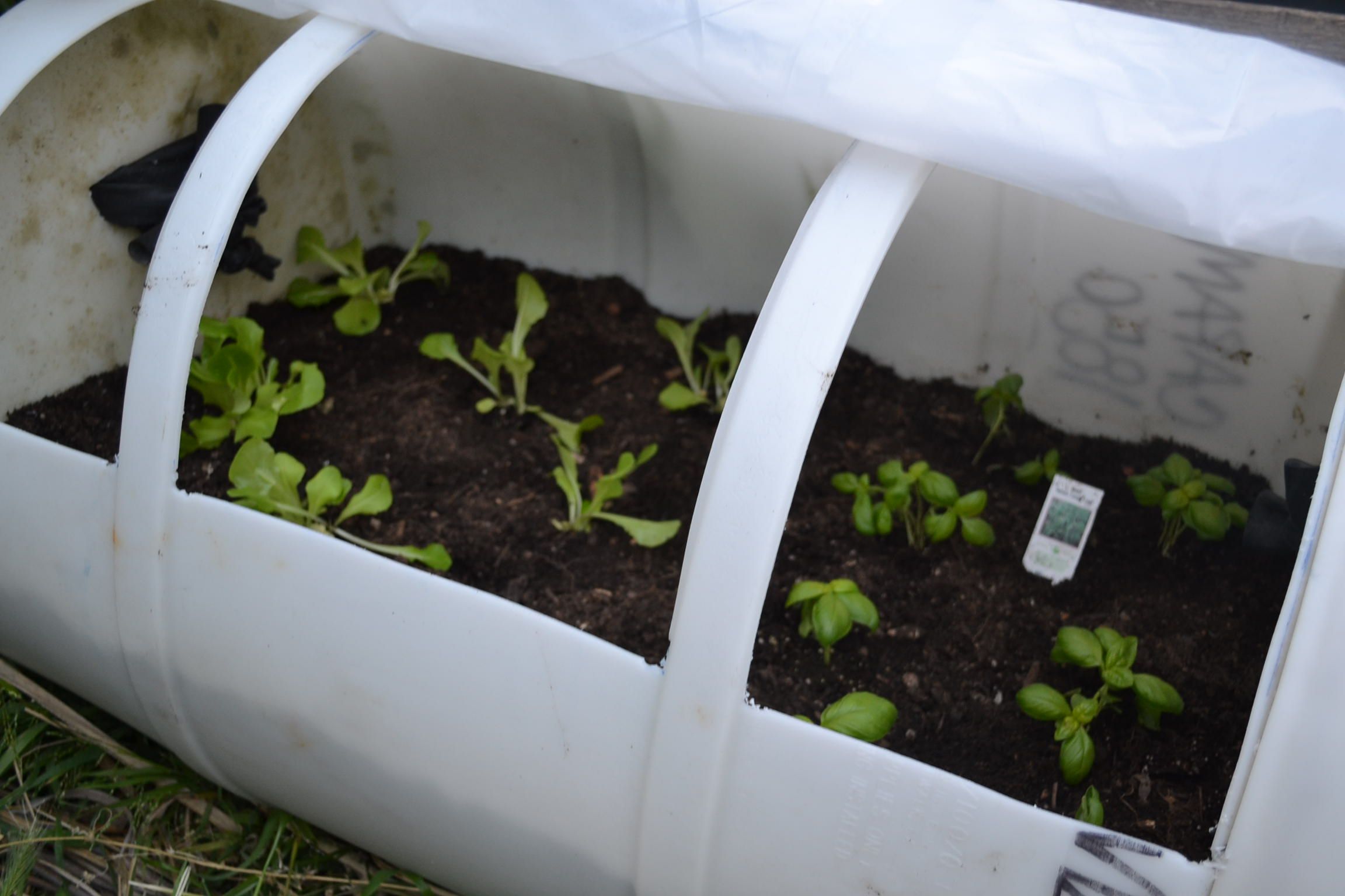 ❦PORTABLE CAN GREENHOUSE❦ (economic, Ecologic, Fast, Easy)