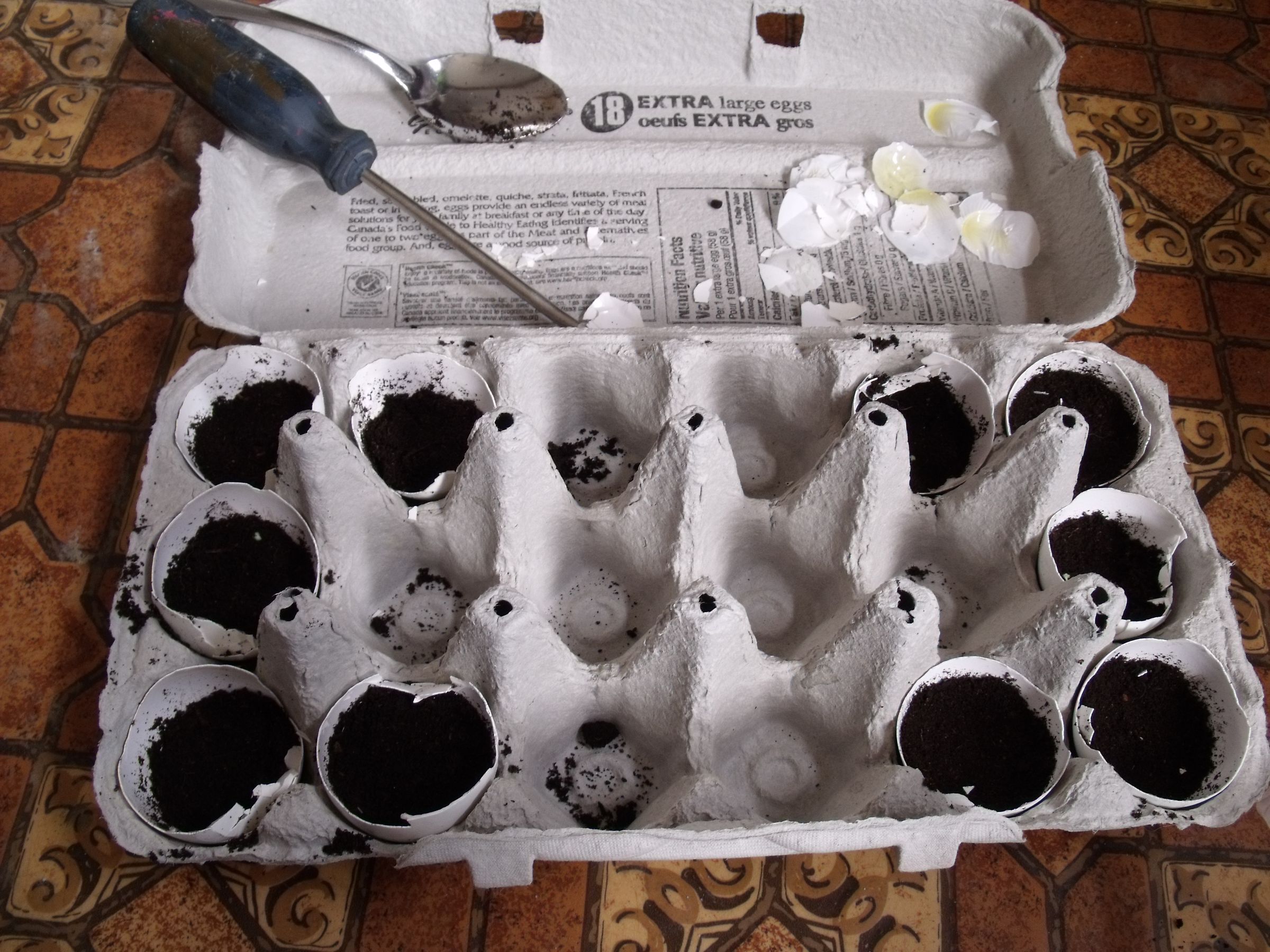 Eggshell Seed Starters