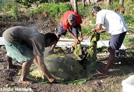 Do a "Lovo" for Christmas : Fijian Style