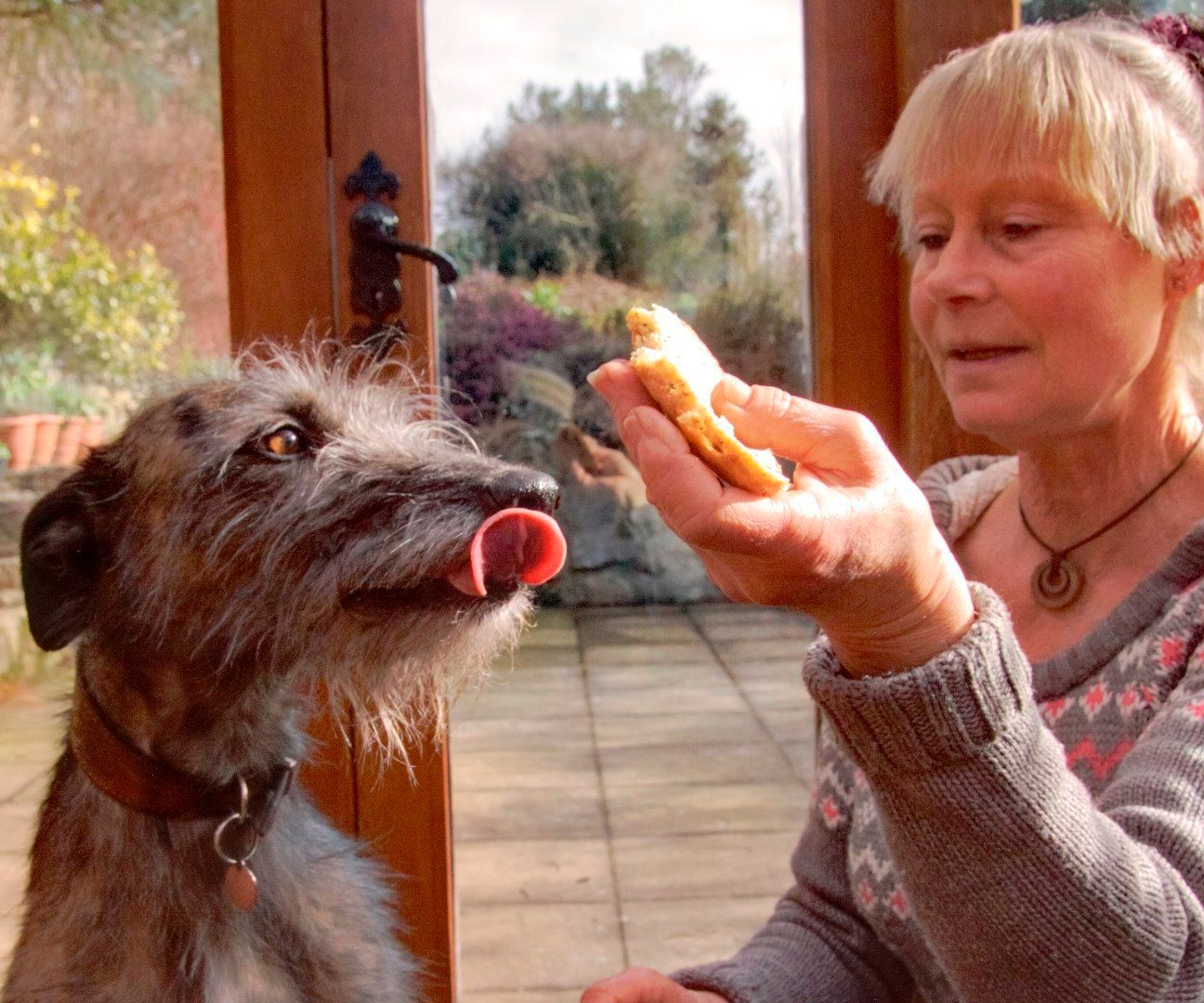 Dogs and Fireworks - With Ulrike and Lizzie