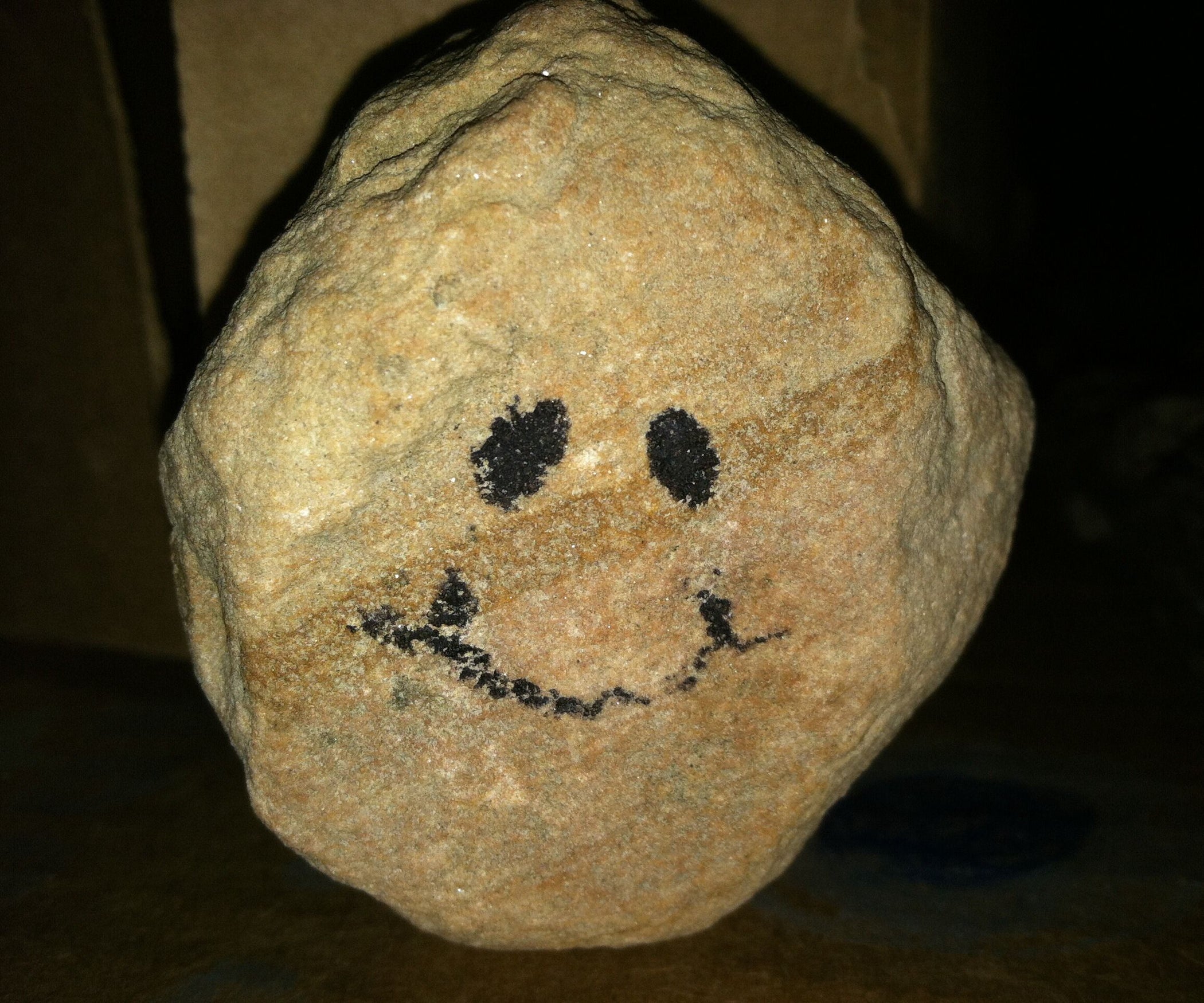 Guide To Pet Rocks Part 2 5 Steps Instructables guide-to-pet-rocks-part-2-5-steps-instructables