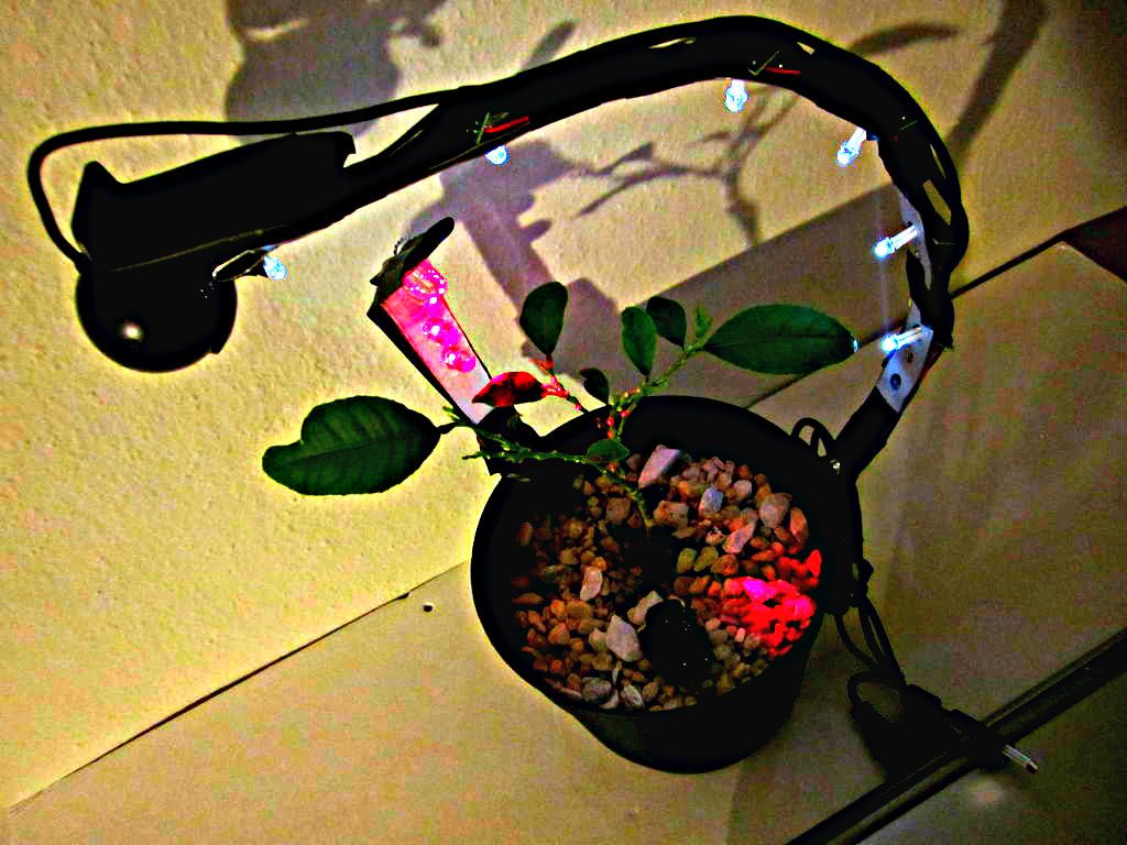 USB Powered LED Grow Light : 4 Steps - Instructables