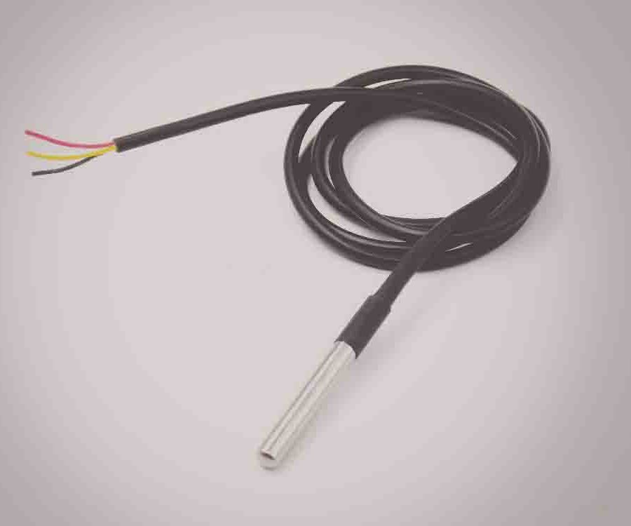 Temp Sensor DS18B20 (Raspberry Pi)