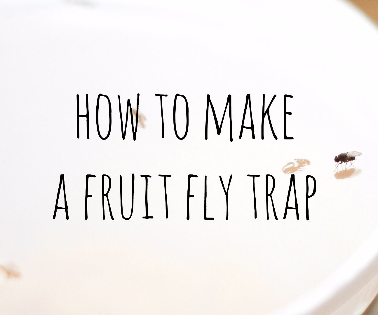 Easy Fruit Fly Trap 7 Steps (with Pictures) Instructables