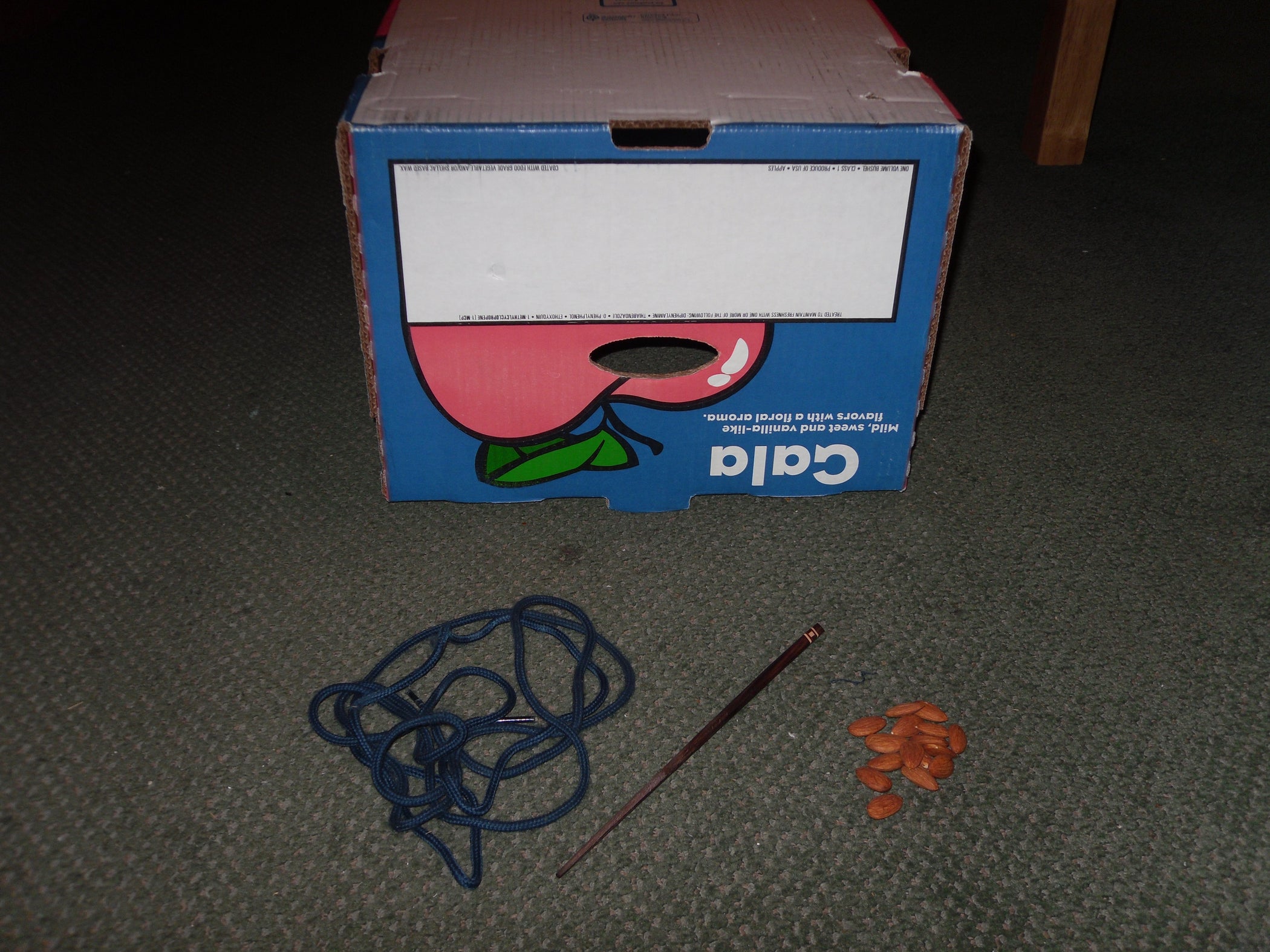 How to Make a Squirrel Trap 6 Steps Instructables