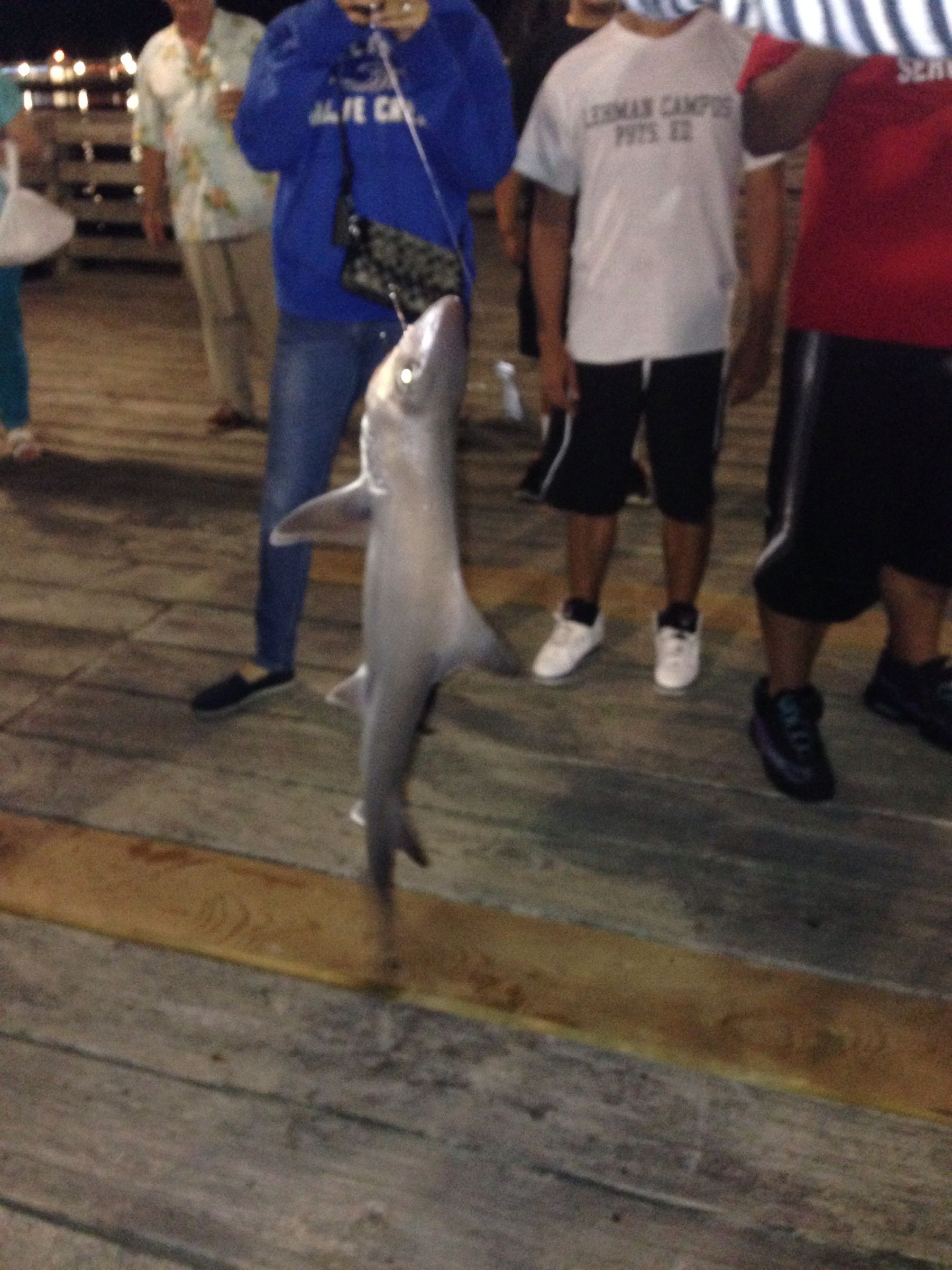 Making 140 Pound Test Leader With Hook