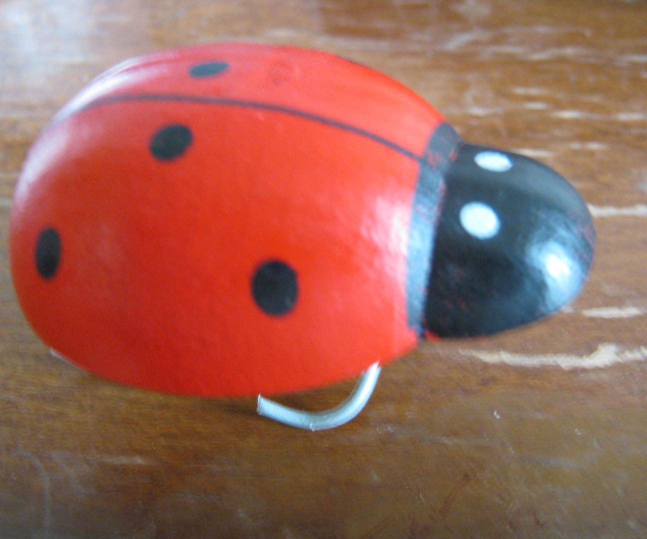  Ladybird