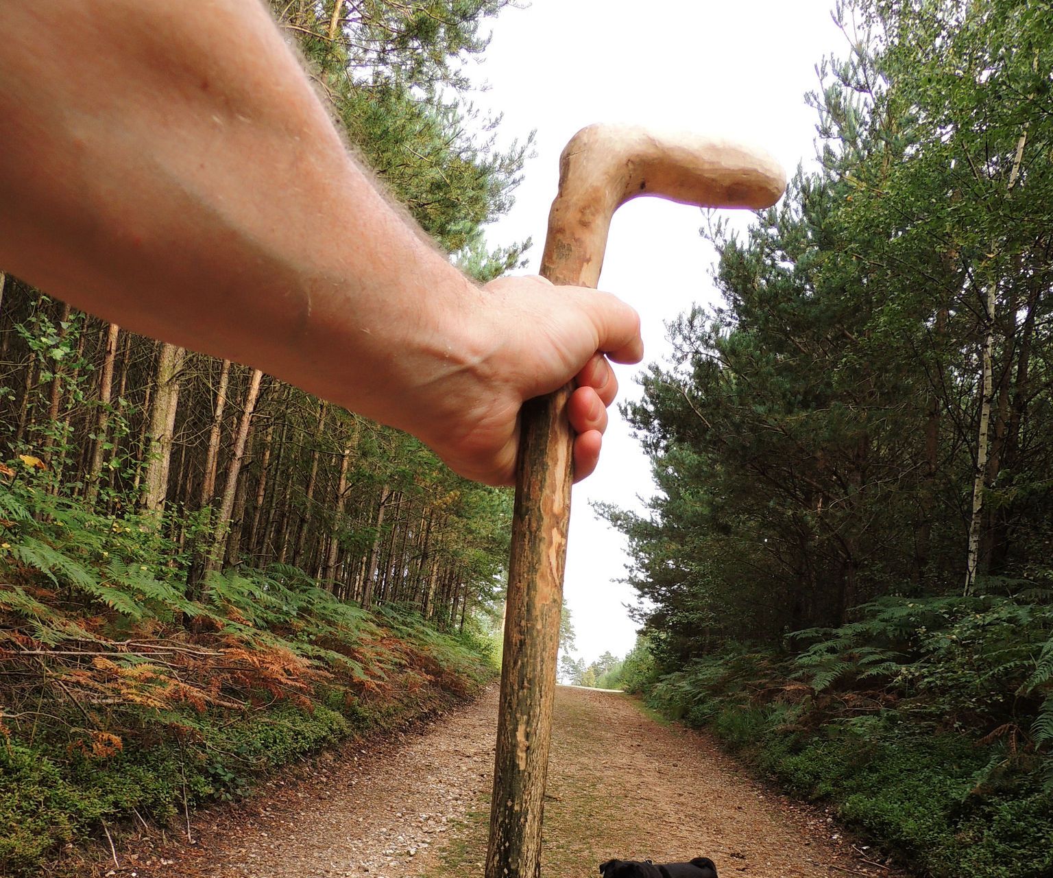 Hand-made Walking Stick/crook