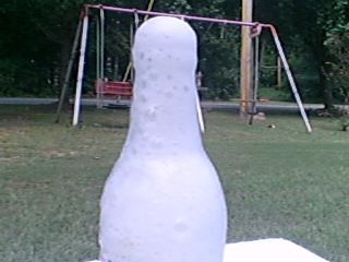 Carbon Dioxide Cork Rocket