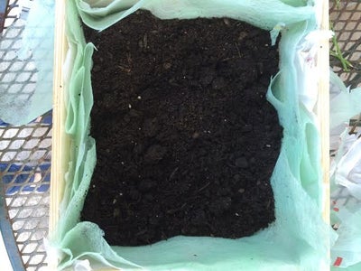 Fill Box With Soil