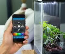 Connected Greenhouse 