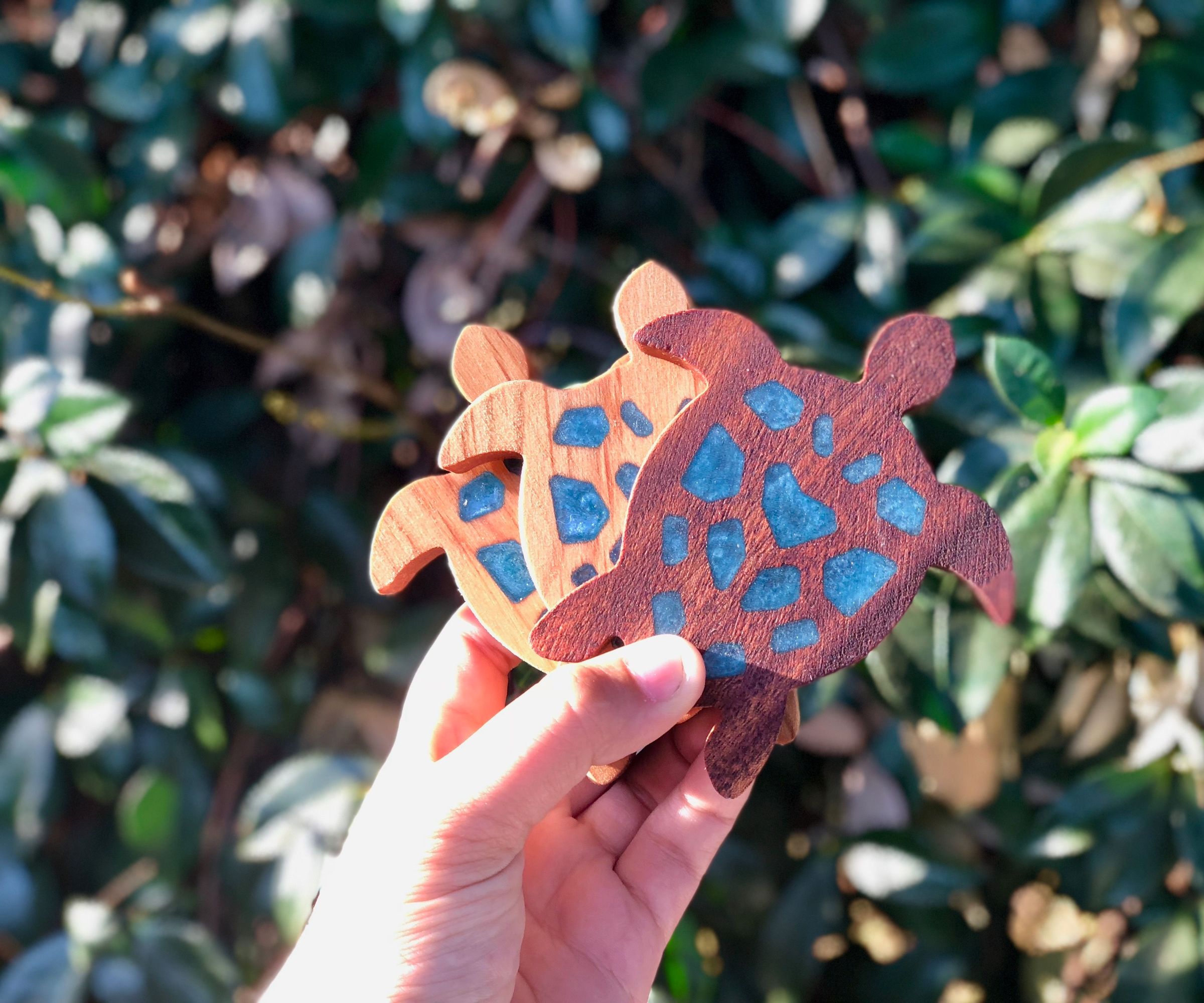 Wood & Resin Turtles