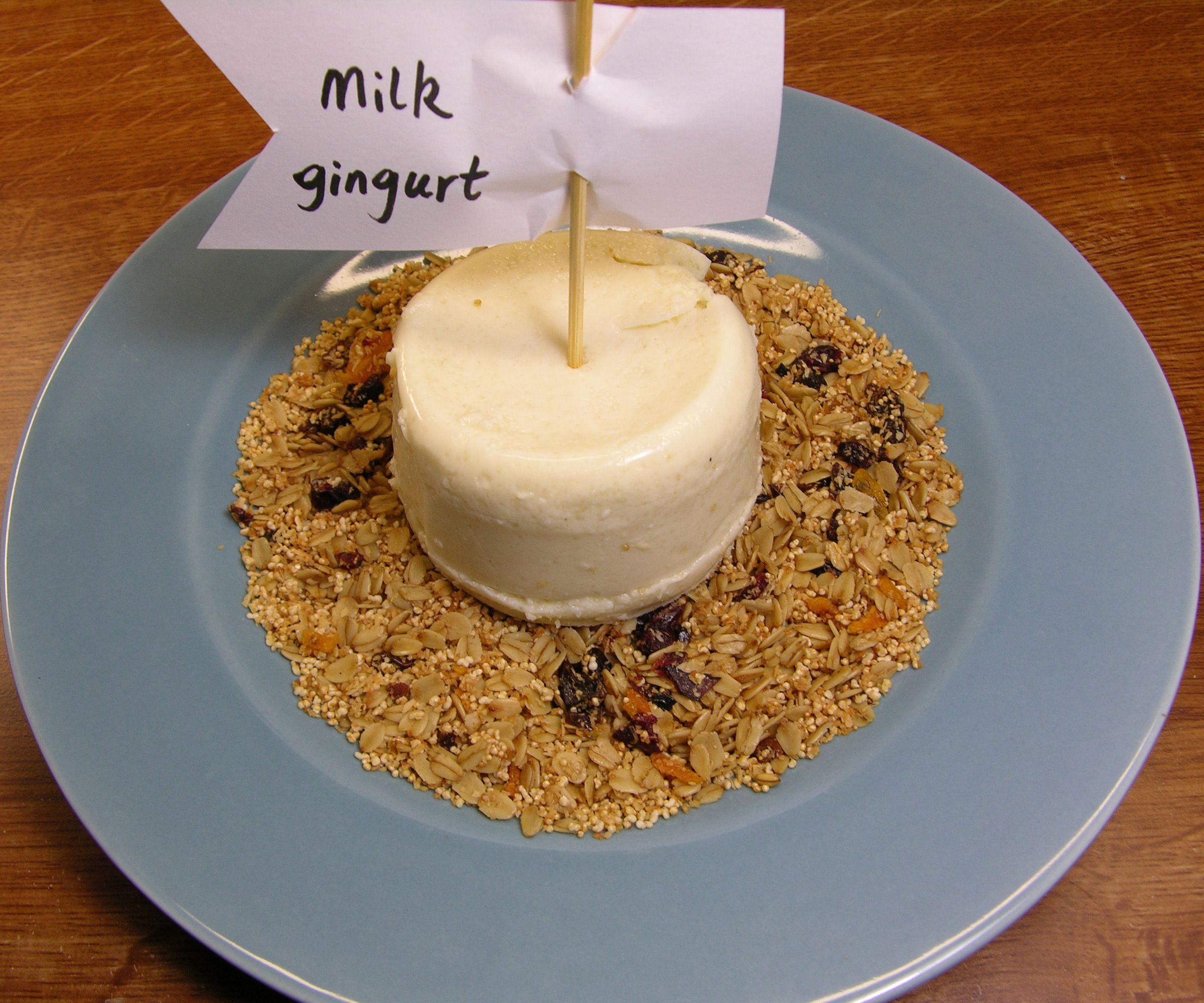 Crock Pot Milk  Gingurt: Ginger Milk Curd Recipe