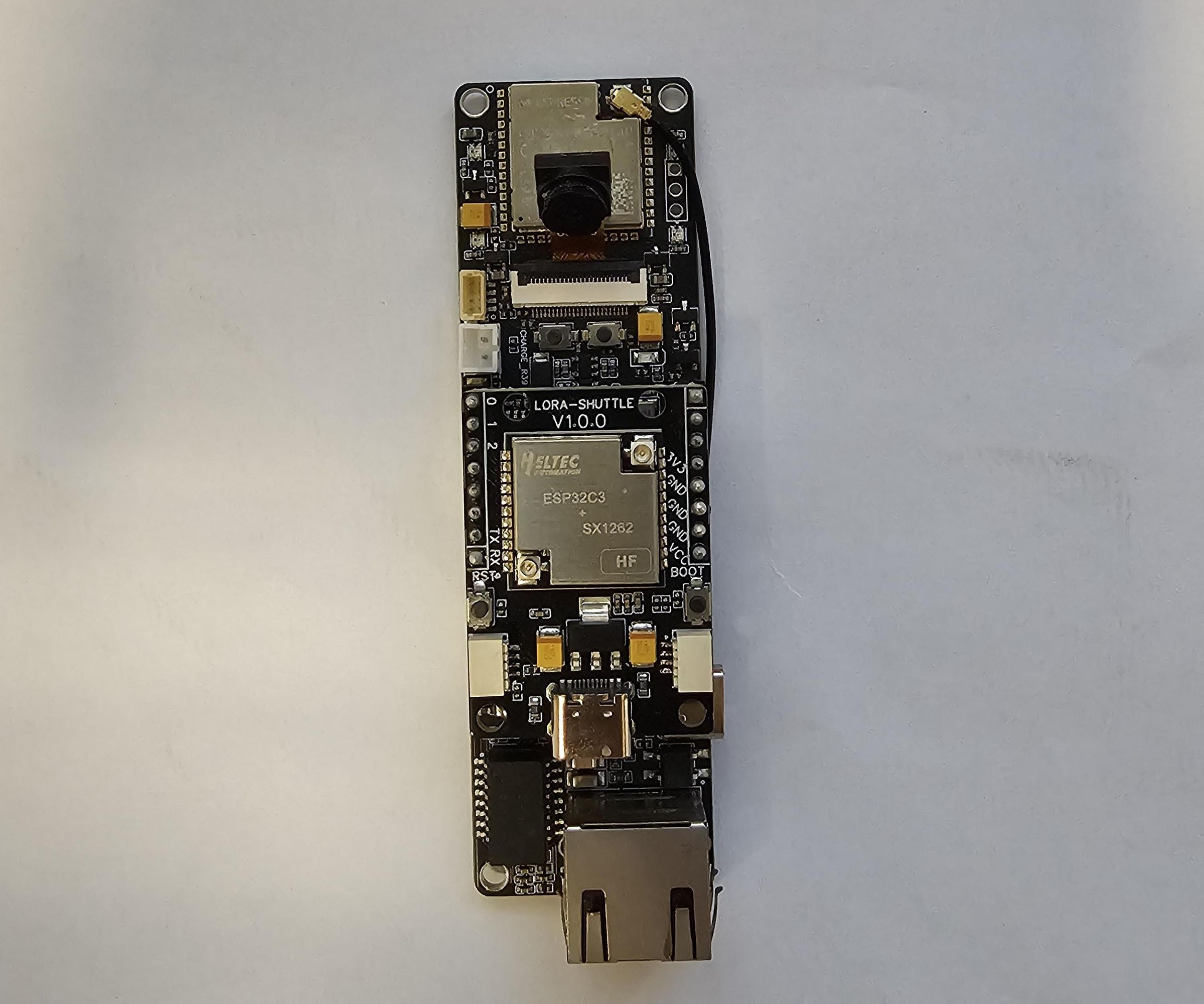 AI on the Edge Device With LORAWAN Module