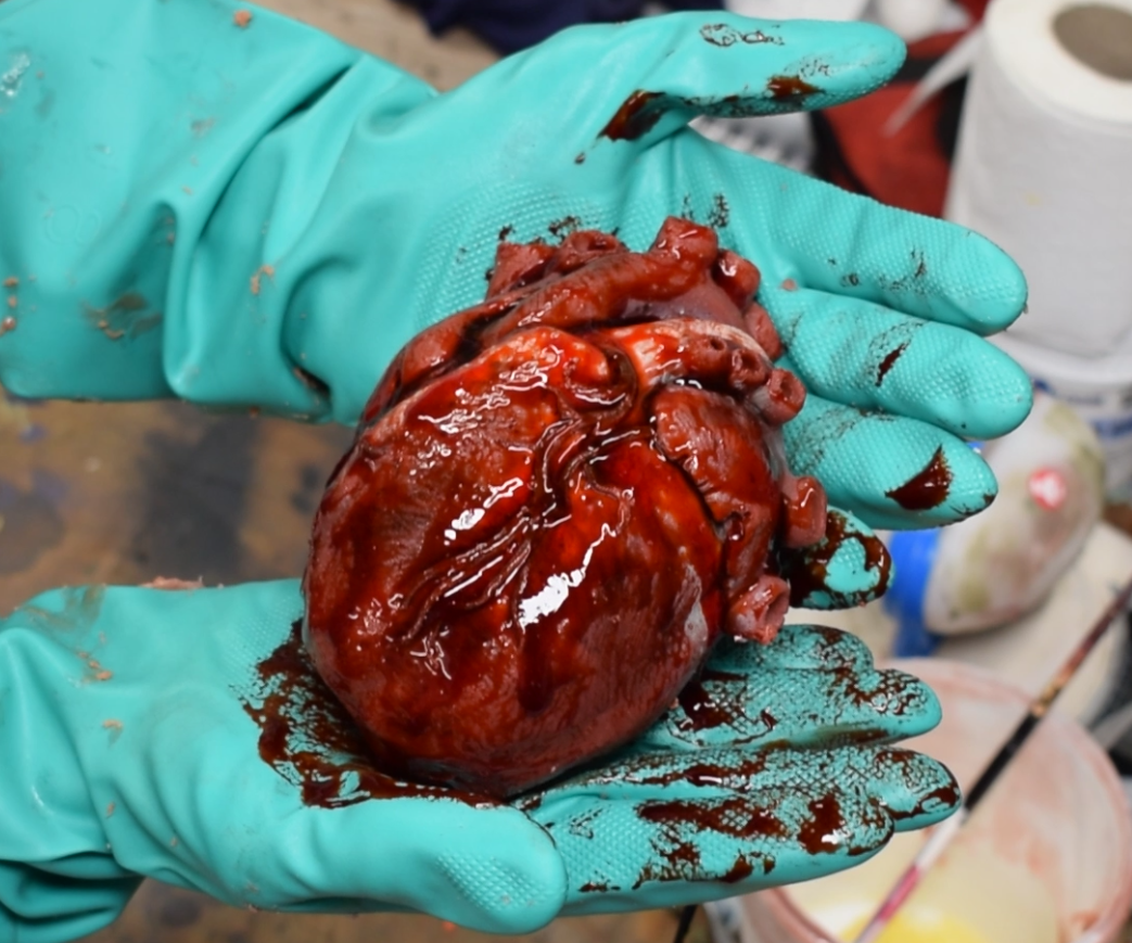 Silicone Skin 3D Printed Realistic Animatronic Heart