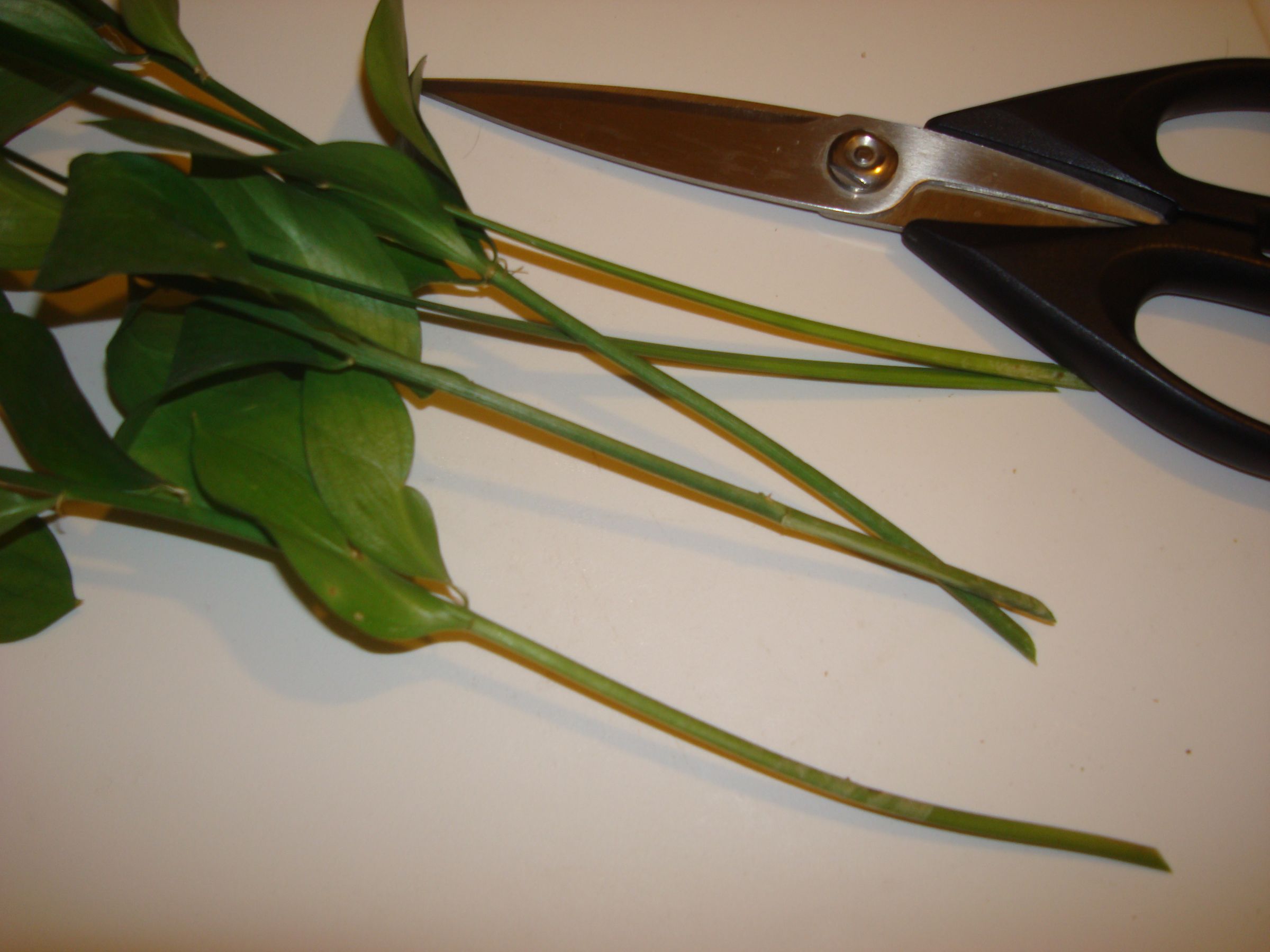 Fresh Cut Flower Preservative 6 Steps Instructables