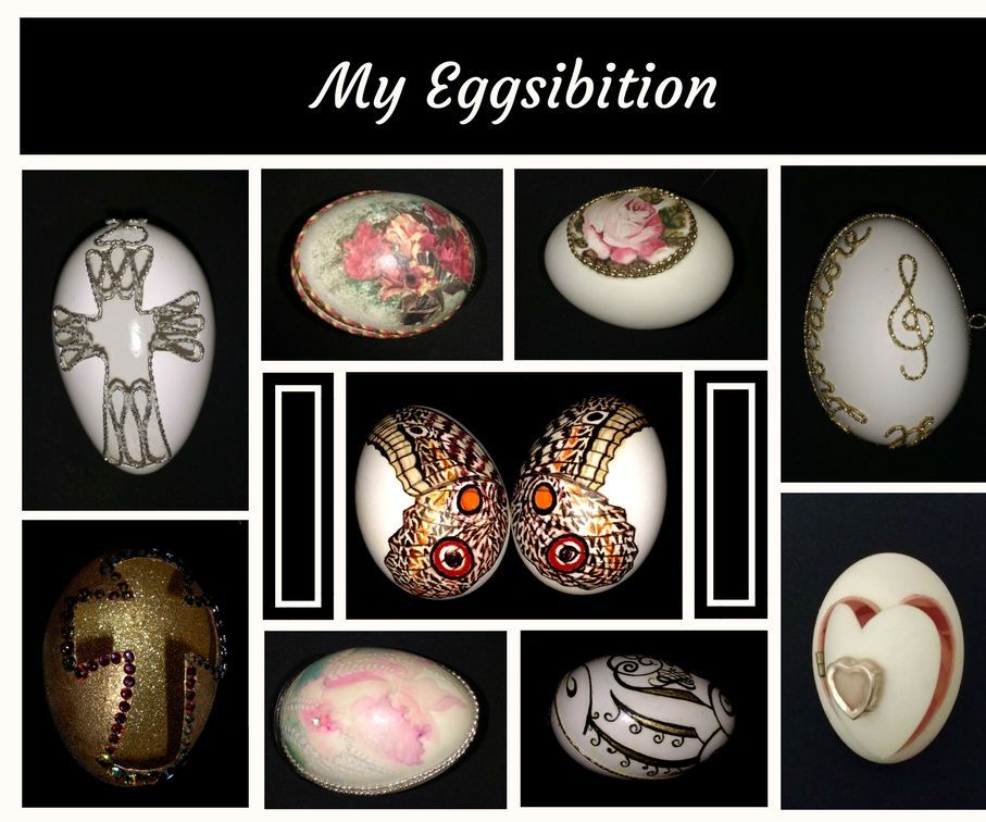 My Eggsibition