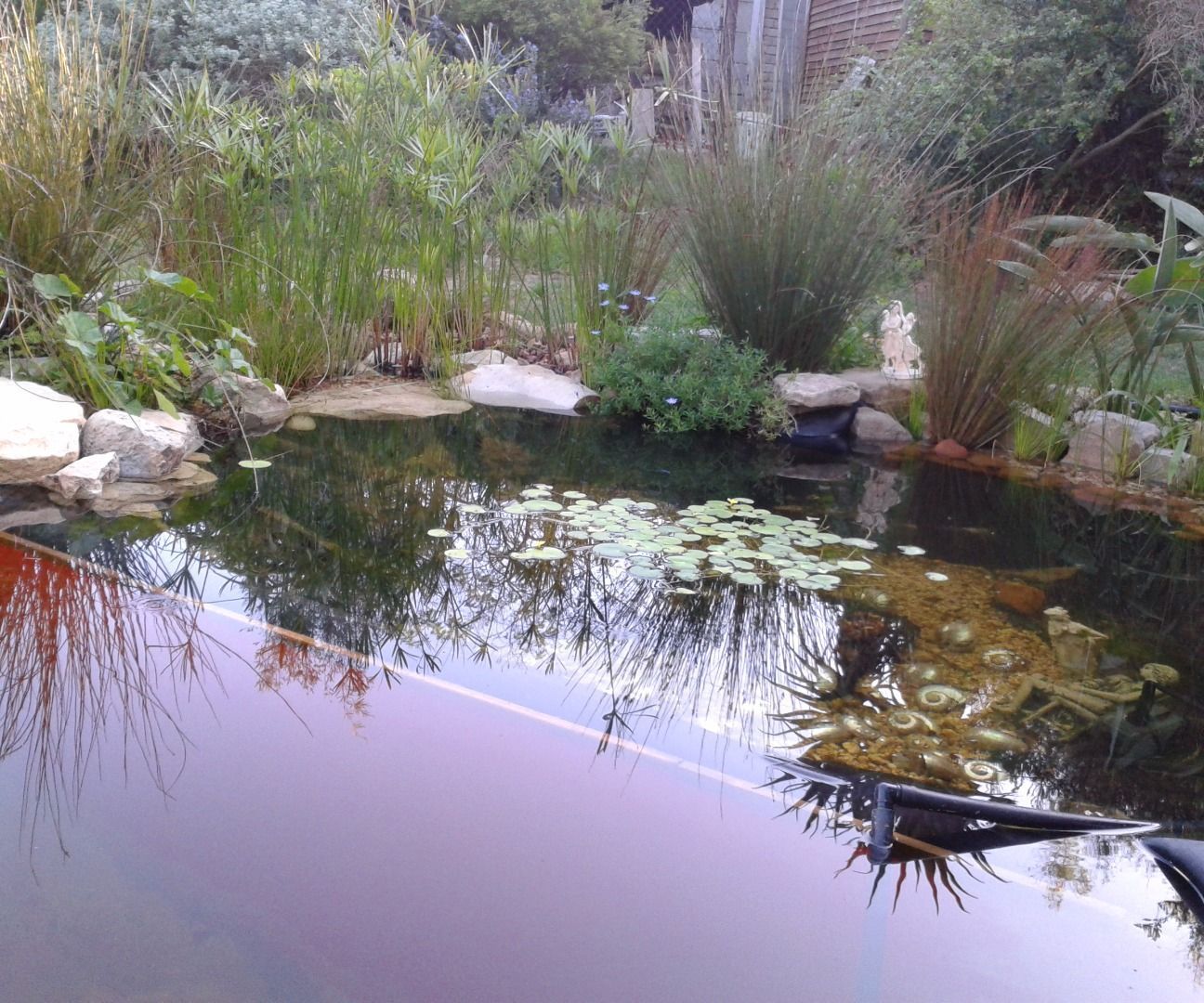 Natural Plunge Pool