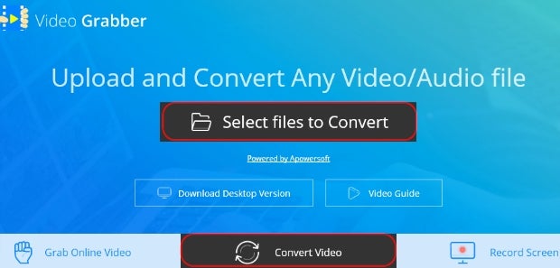 Launch Video Grabber