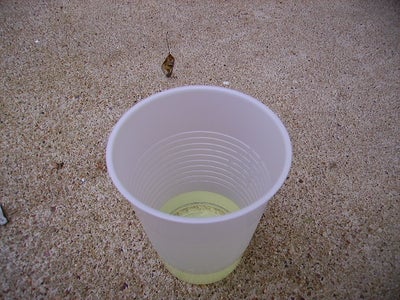 Reverse, or "Clean" Graffiti Using Bleach