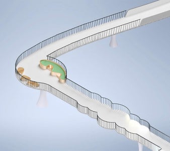 Features of the Bridge