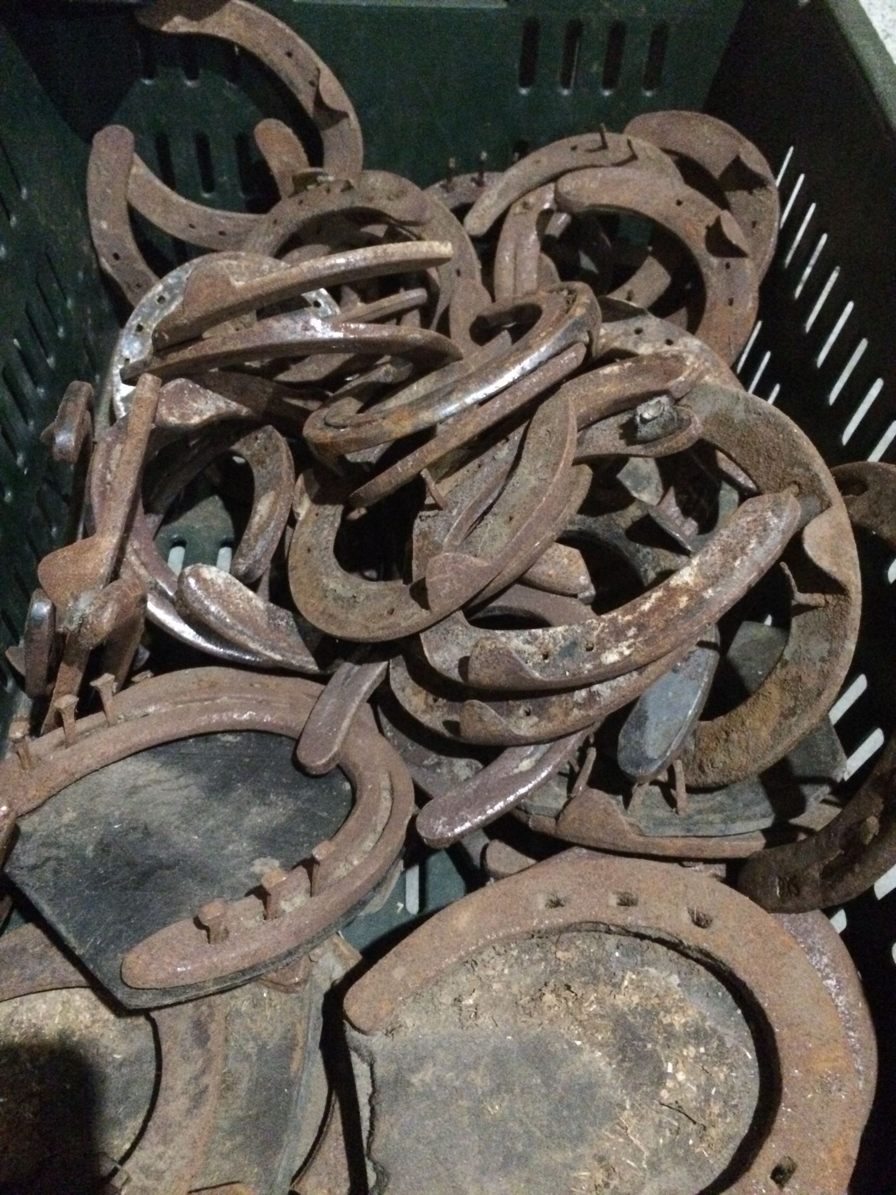 Pin by Jana McBride on Homemade Stuff | Horseshoe projects, Welding art  projects, Horseshoe art, image size:768x1024