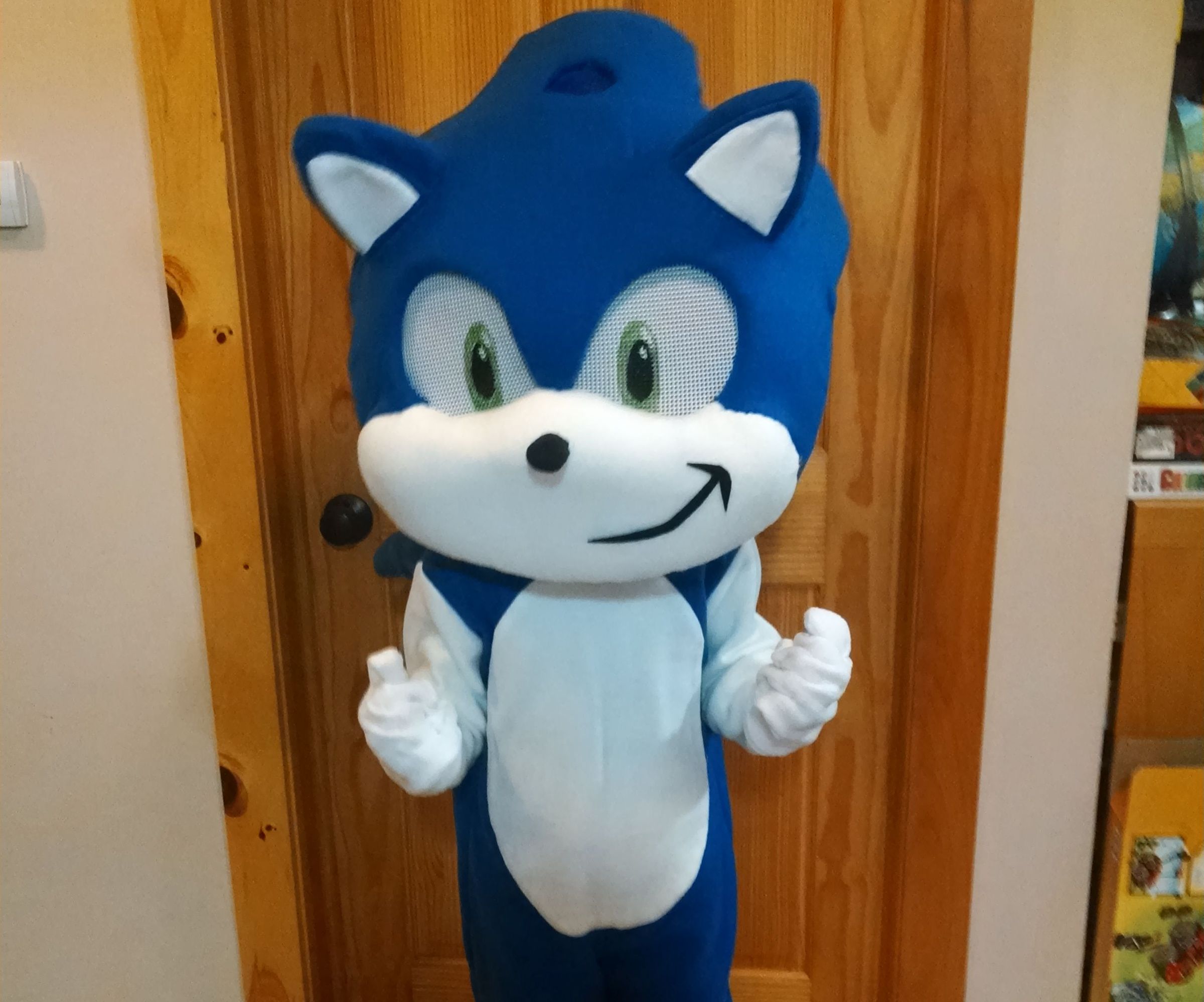 Childrens Sonic the Hedgehog Mascot Costume