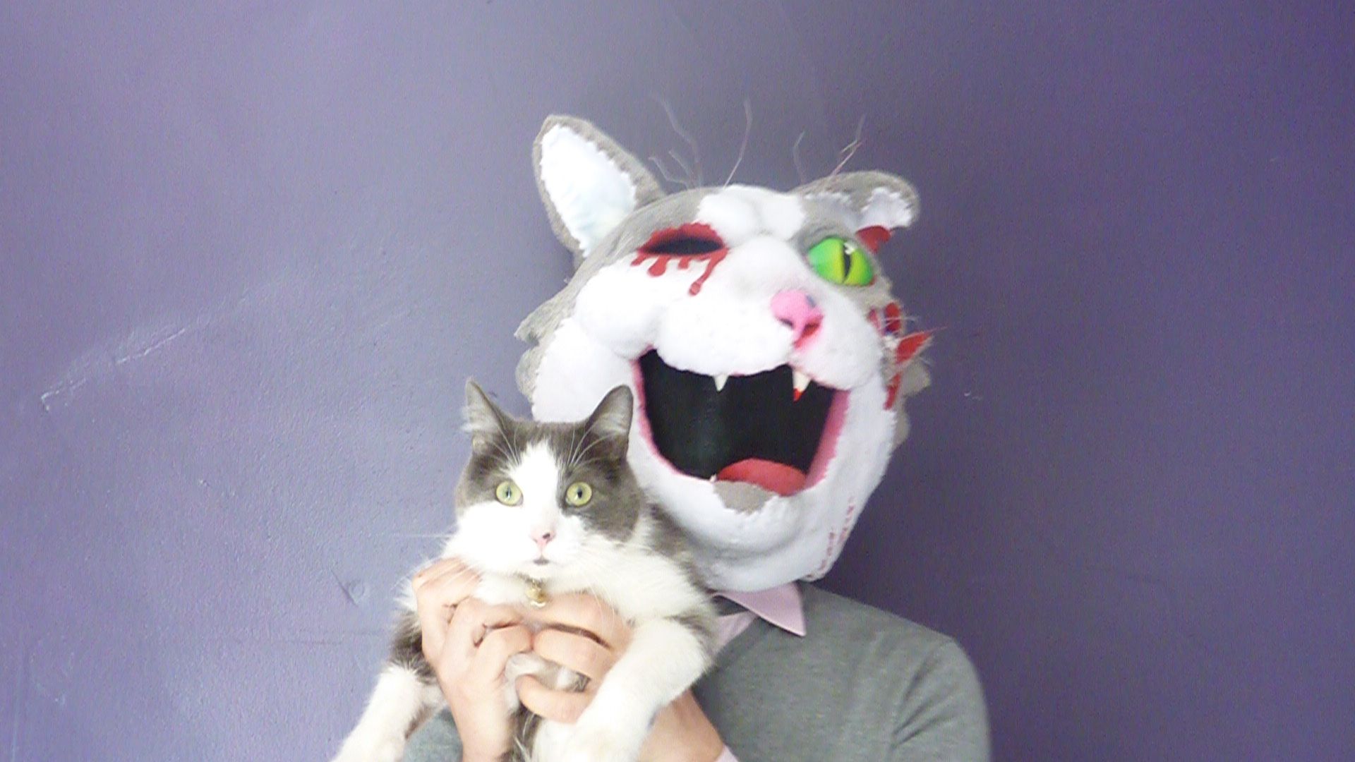 Jean Paul of the Dead (The Making of a Zombie Cat Mask)