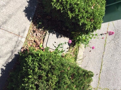 Find Your Water Meter