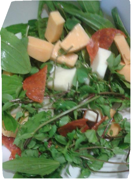 Making Salad From The Weeds In Your Garden. 