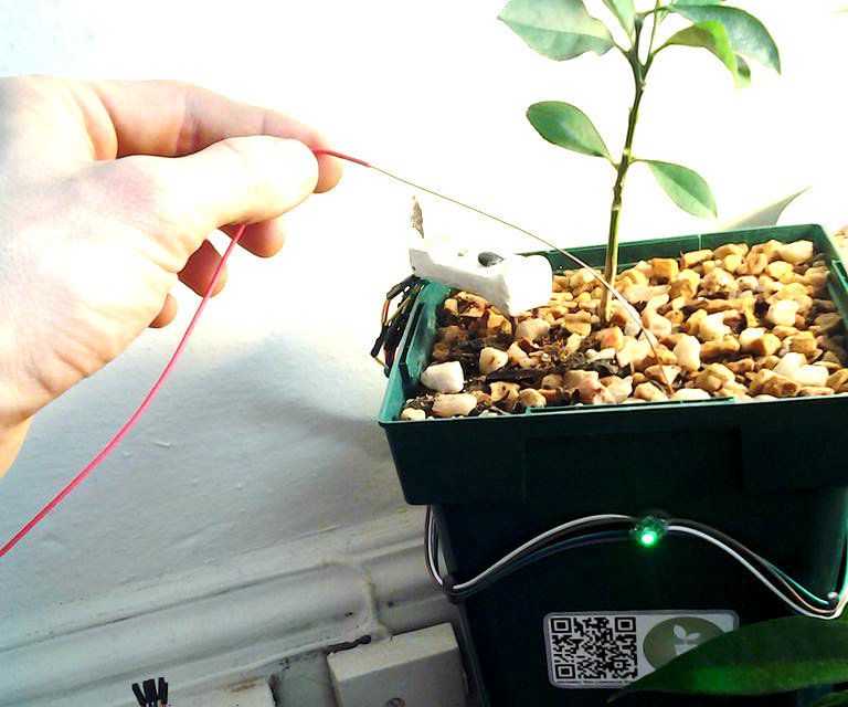 Plant Grounding Hack