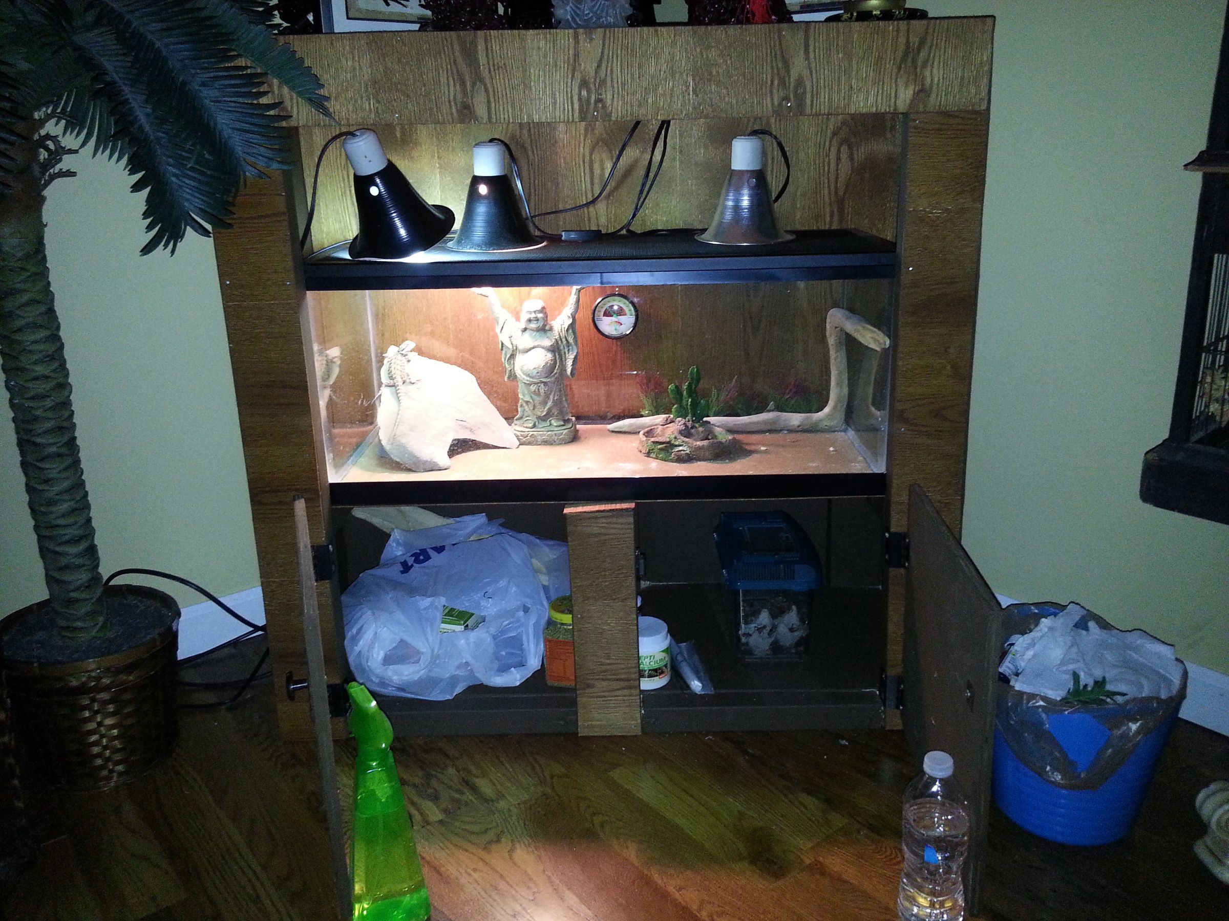 Bearded Dragon Chest