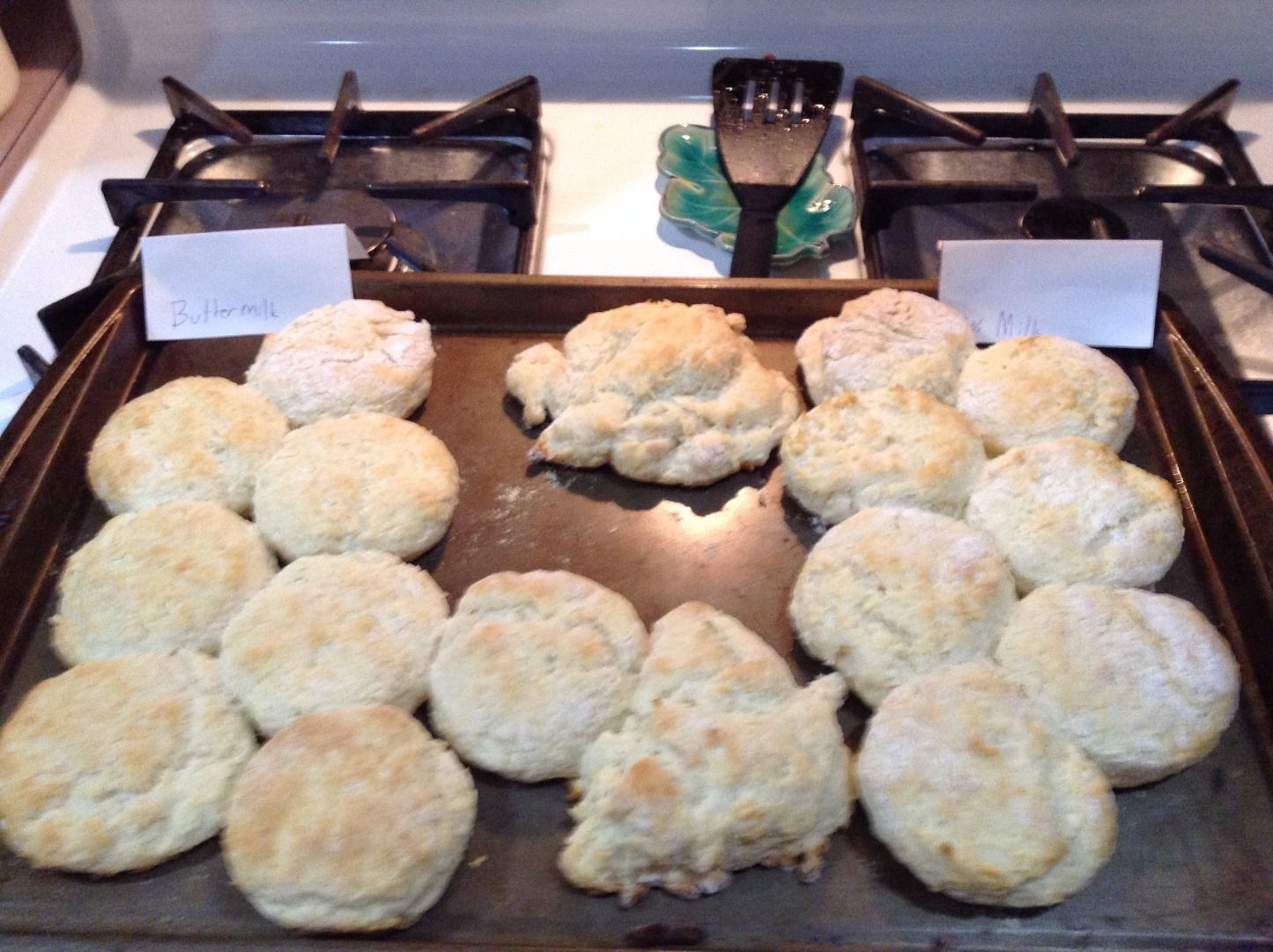 Krusteaz Biscuits Milk V.S. Buttermilk 5 Steps Instructables
