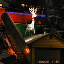 GINORMAS Holiday reindeer aka Rudolph