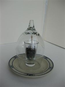 Other Examples of Shot & Wine Glass Terrarium / Seed Starter