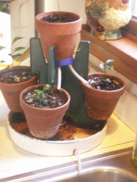 Planter Pot Holder Watering/Drainage Base