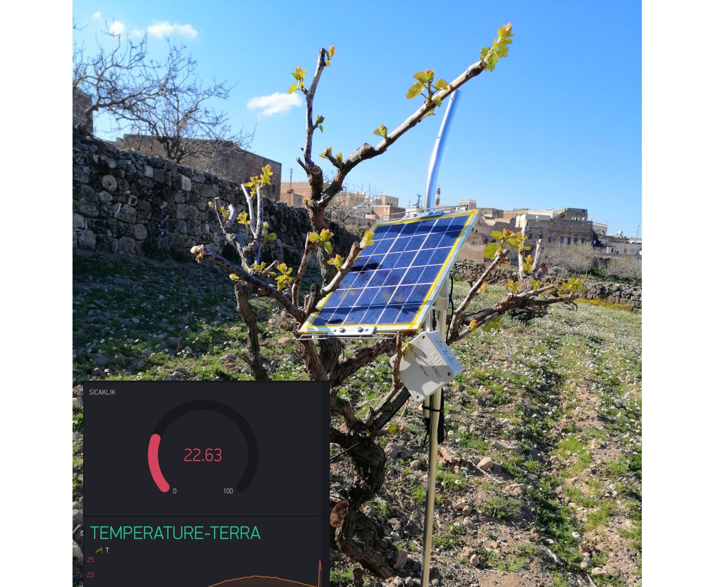 Soil Temperature Measurement With Blynk