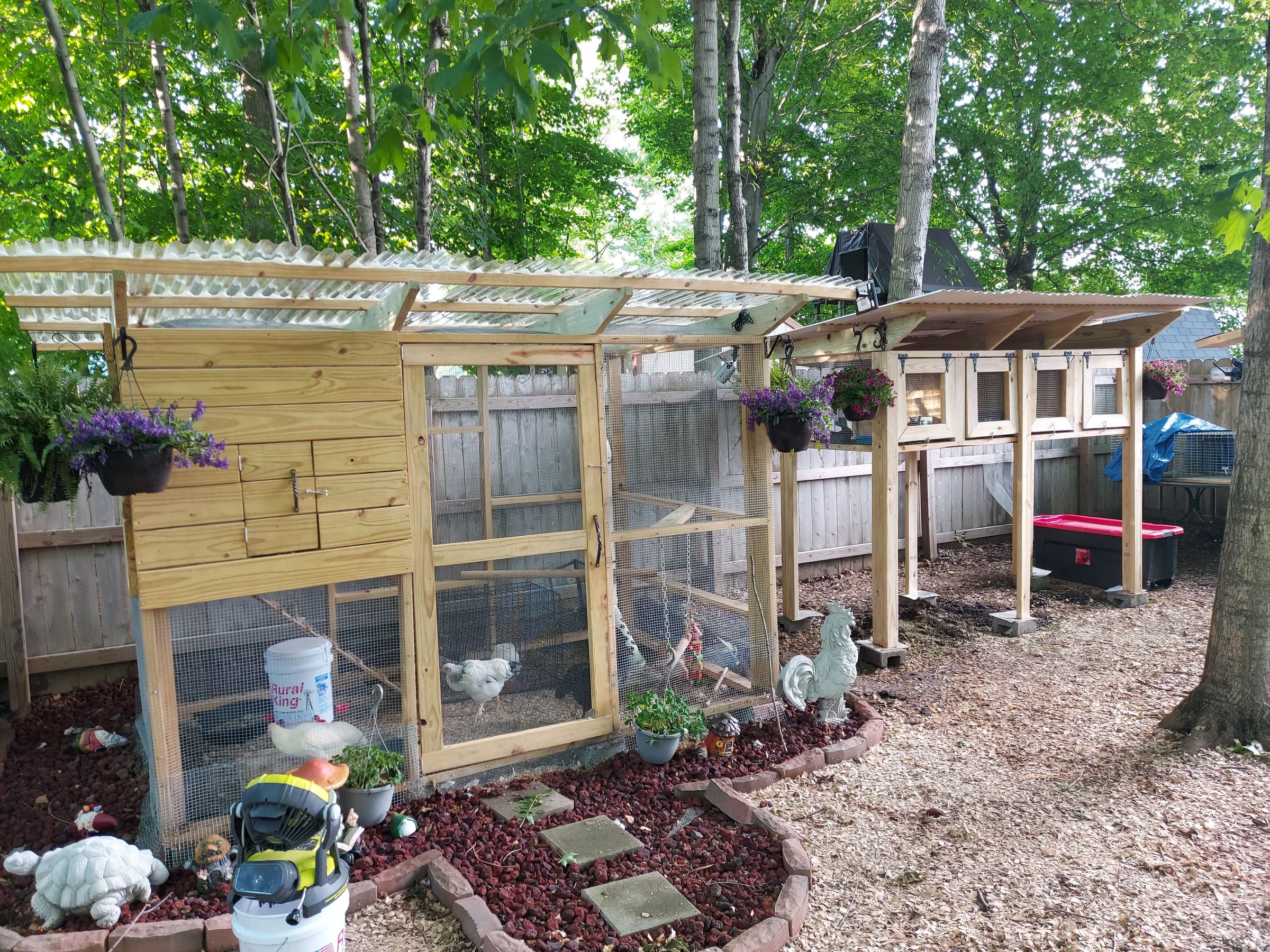The Backyard Rabbit (or Quail) Coop : 4 Steps (with Pictures ...