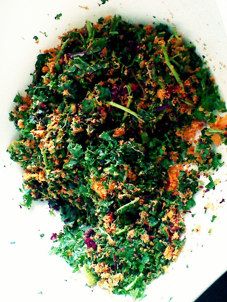 Cooking With Juicing Solids