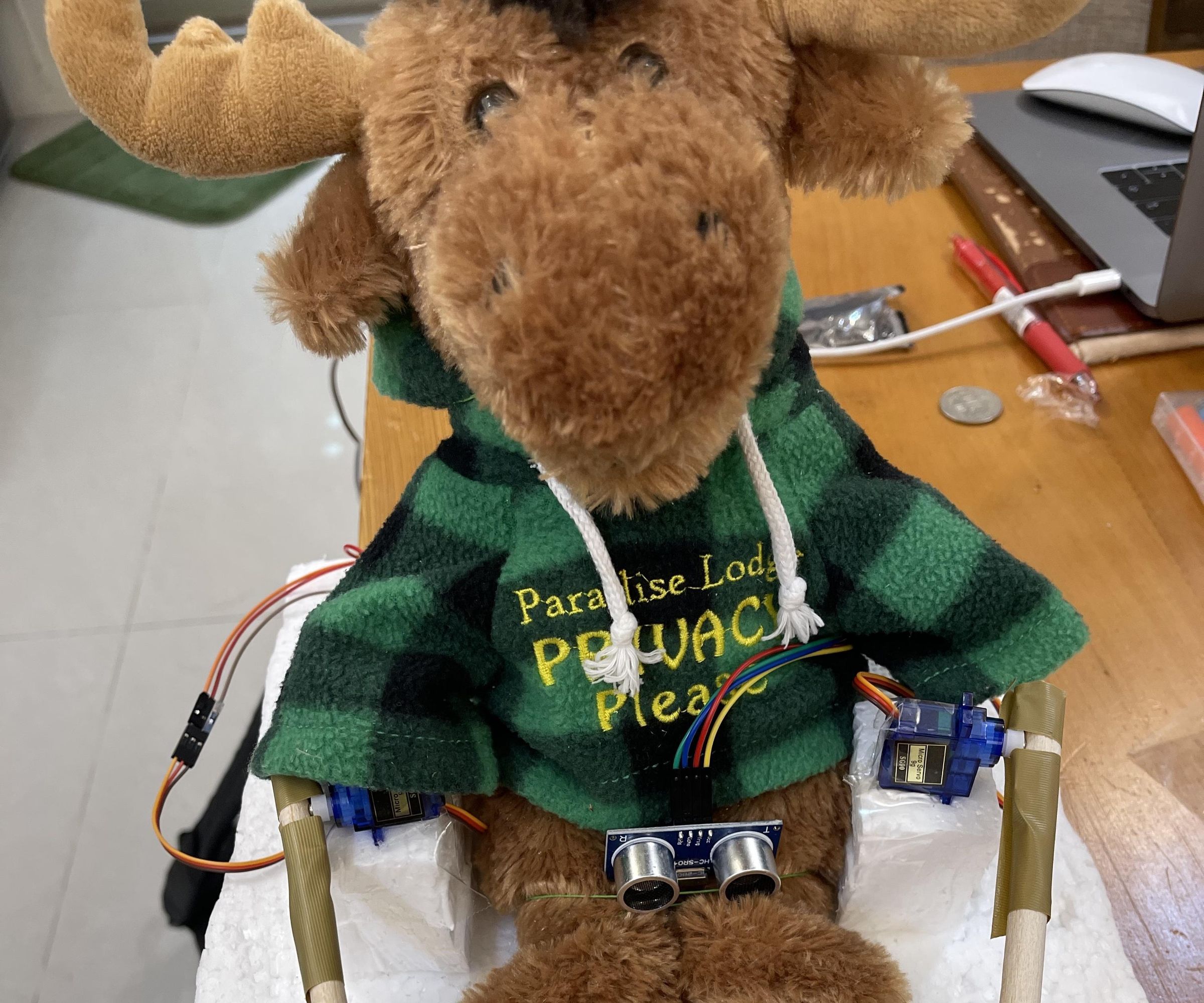 Motion Detector Robot