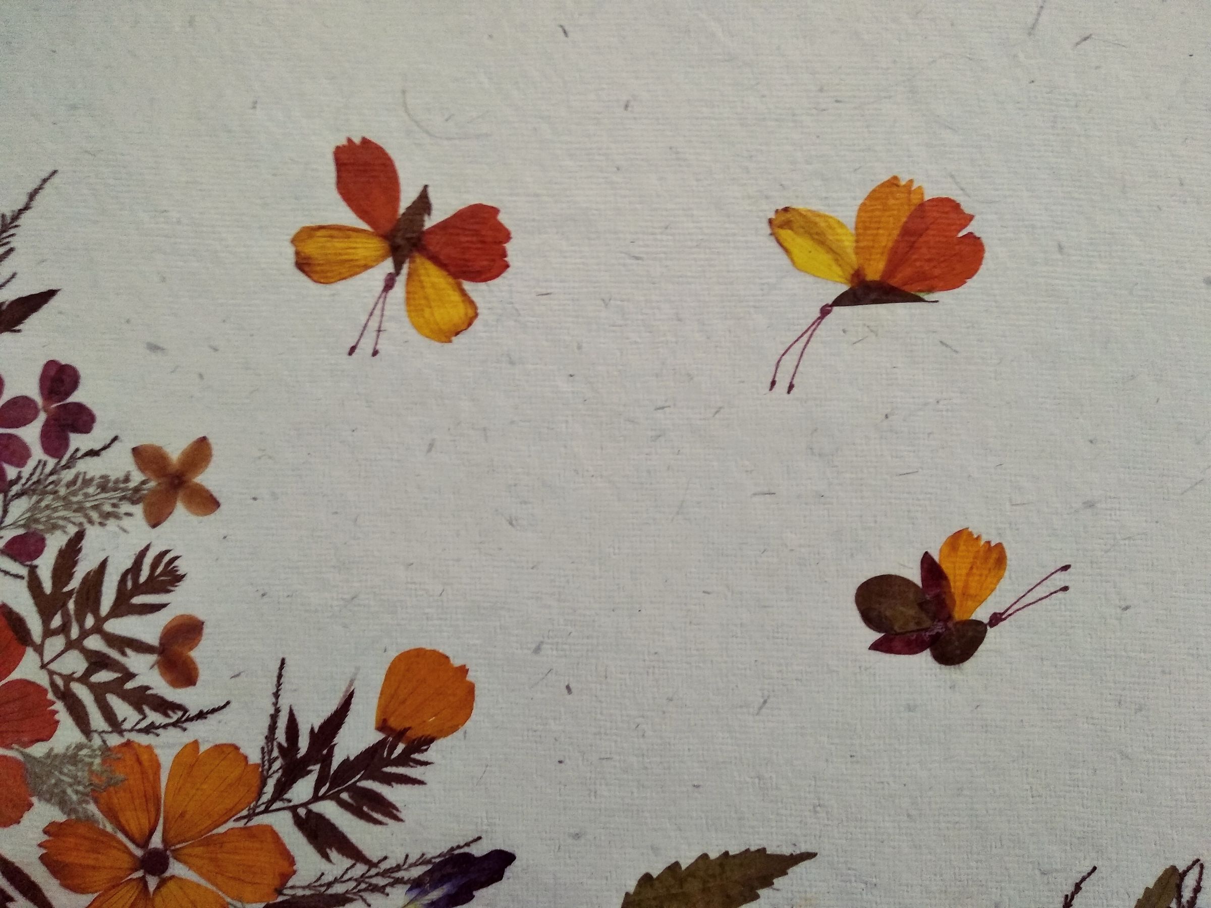 Dry Flower Art 4 Steps (with Pictures) Instructables