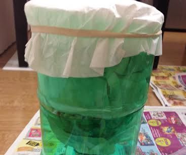  Homemade Water Filter
