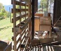 Automatic Chicken Coop Door (arduino)