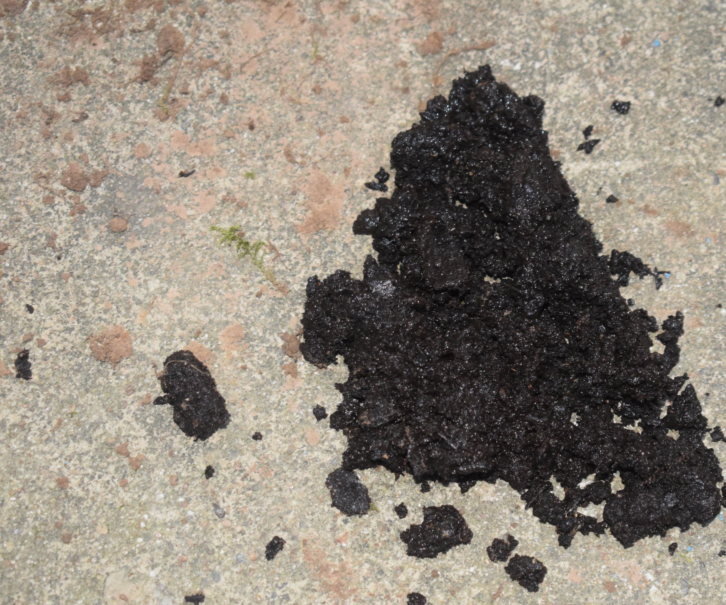 Automatic Compost for Home Use Made From Recyclable Materials