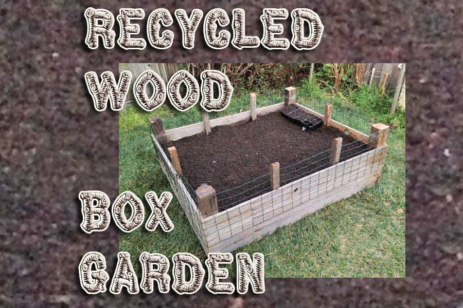 Recycled Wood Box Garden