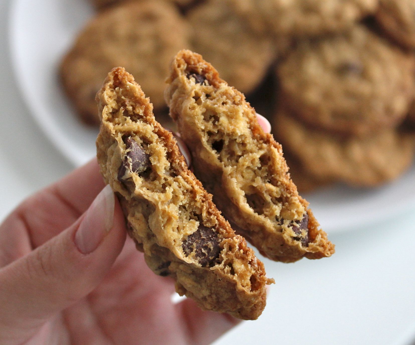 Dairy Free Oatmeal Cookies (with Pictures) Instructables