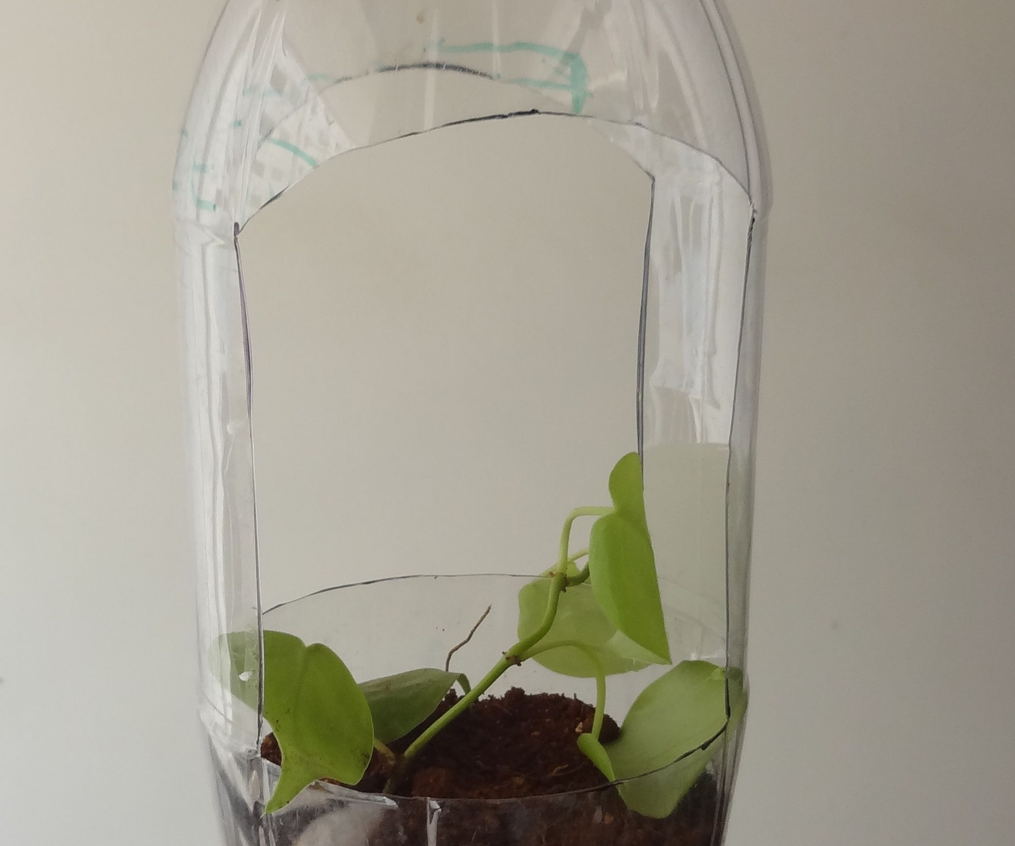 Upcycling a Bottle Into a Hanging Pot