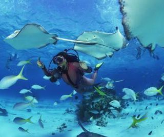 How to Learn Snorkeling in Abu Dhabi