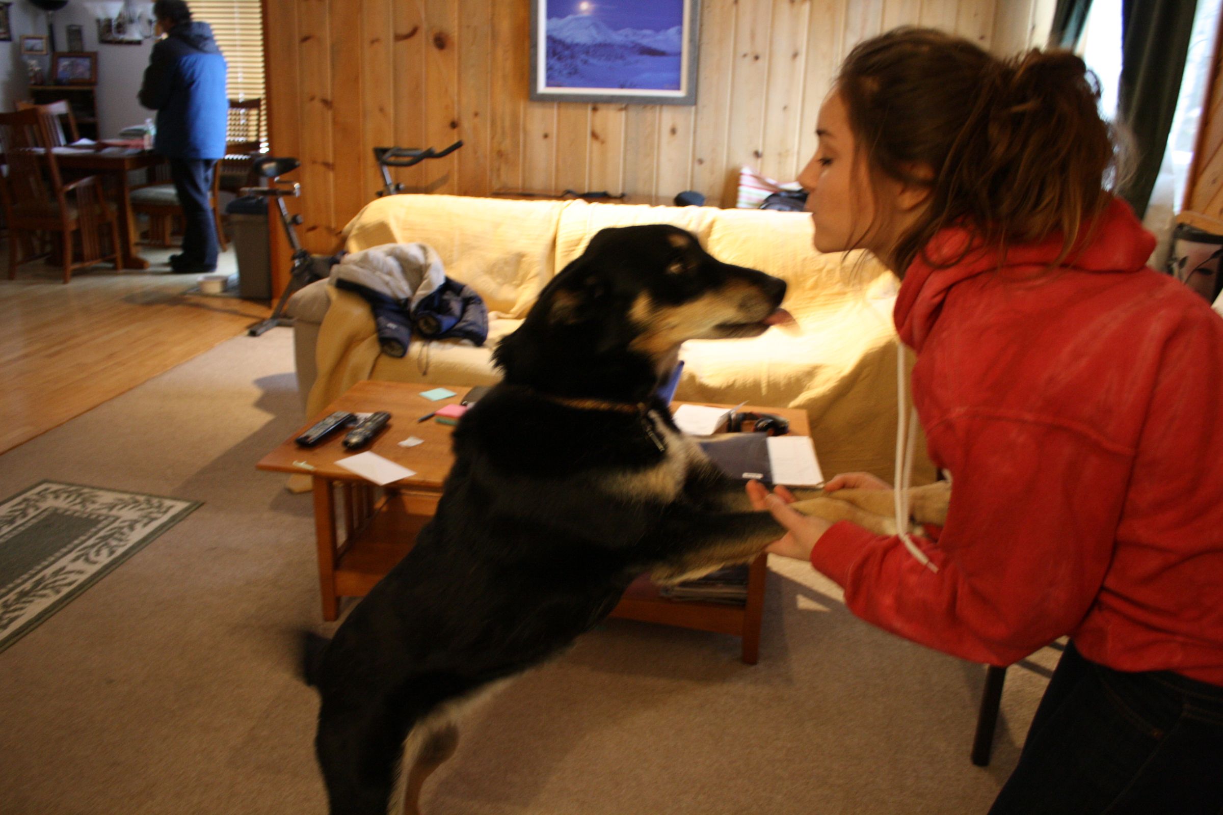 How to Make Your Dog Jump Up and Kiss Your Face 5 Steps Instructables