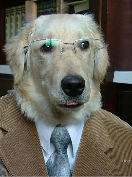author